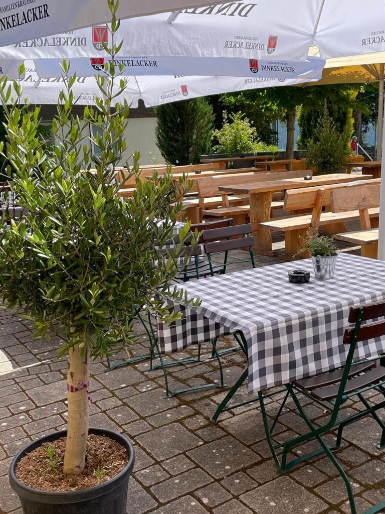 Hotel Restaurant Auerhahn 巴特维尔德巴德 外观 照片